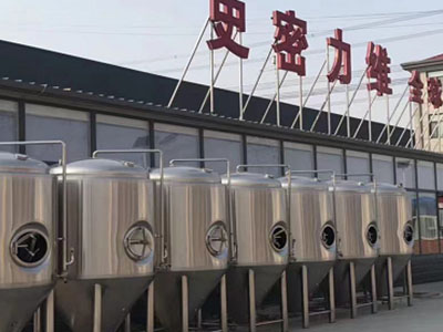 新荣精酿啤酒设备厂—如何判断精酿啤酒设备的密封件需要更换？